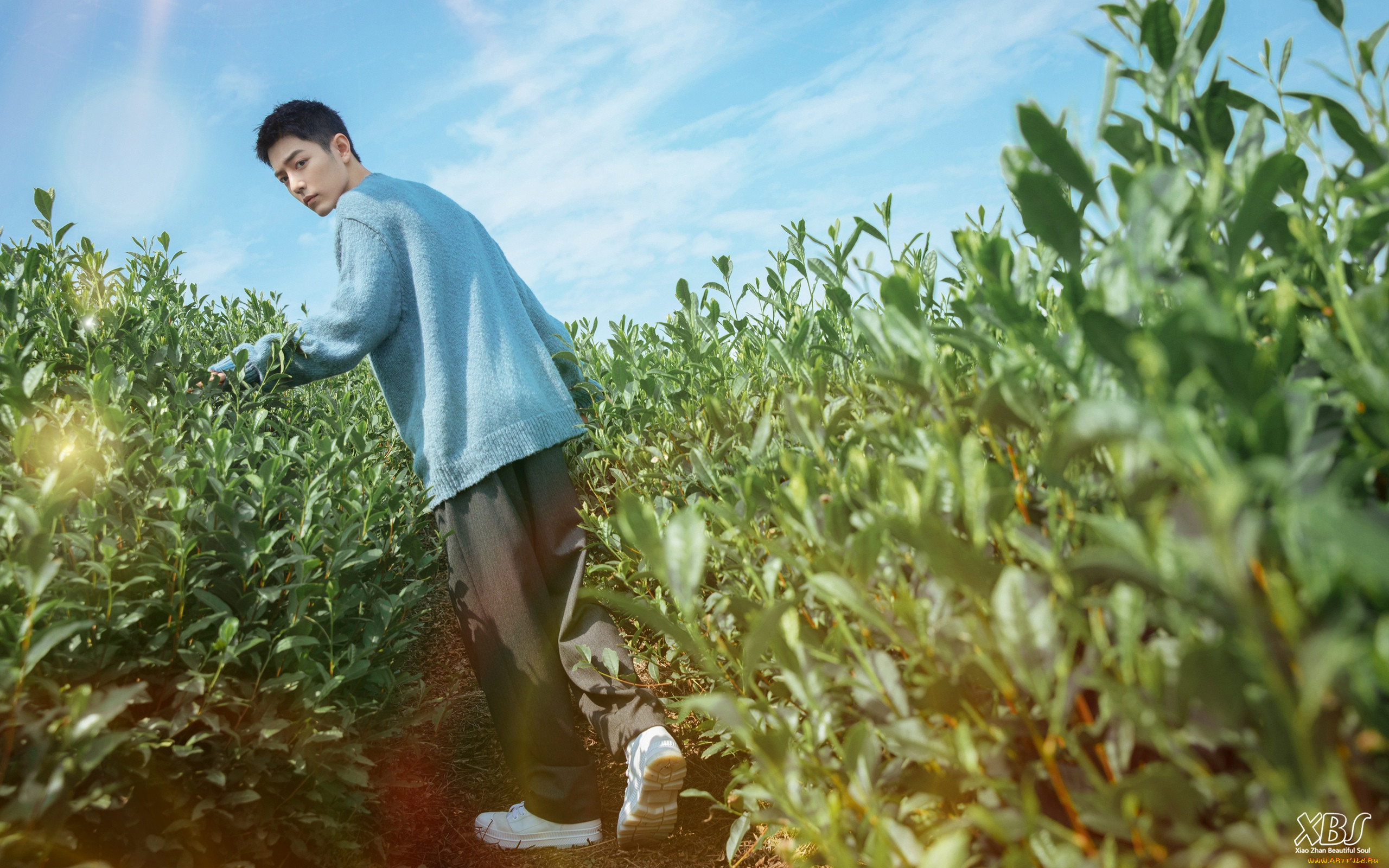 , xiao zhan, , , 